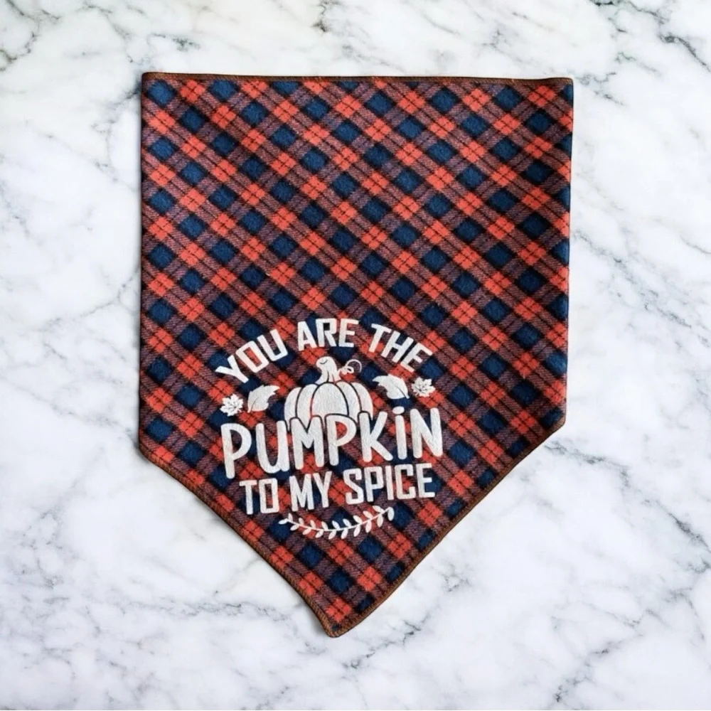 DOG Bandana - You Are The Pumpkin To My Spice - Size L Large
